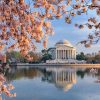 Jefferson Memorial Washington - NEW Paint By Numbers