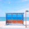 Korean Bus Stop - NEW Paint By Numbers
