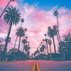 Los Angeles California Sunset - NEW Paint By Numbers