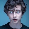 The young Actor Timothée Chalamet - NEW Paint By Numbers