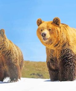 Bears In Snow paint by numbers