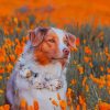 Dog In Flowers Field paint by numbers