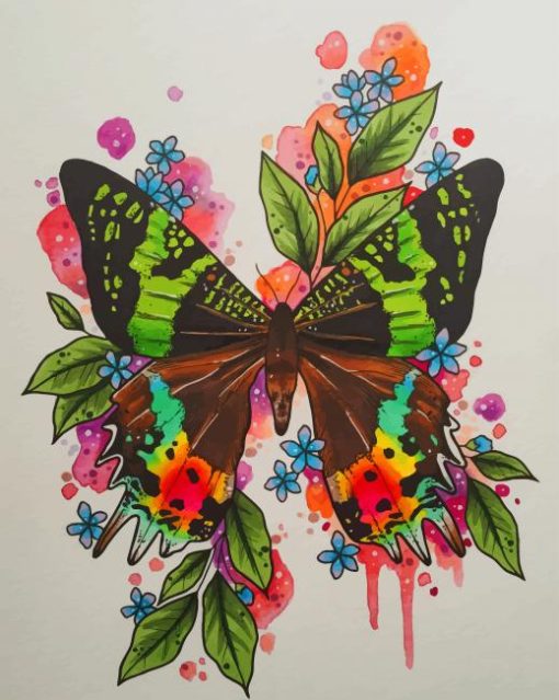 Illustration Butterfly Art paint by numbers