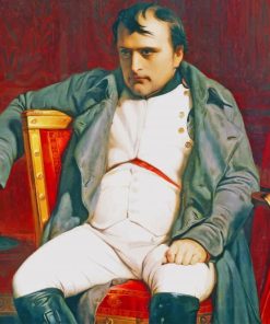 Legend Napoleon Bonaparte paint by numbers