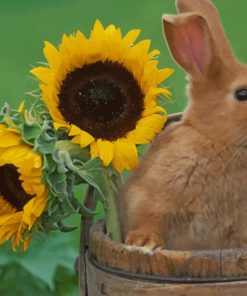 Rabbit And Sunflowers paint by numbers