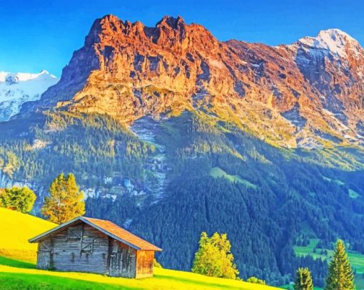 Swiss Nature paint by numbers