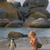 A little Girl Trying To Talk To A Penguin Paint by numbers