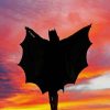 Bat Woman Silhouette paint by numbers