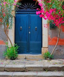 Blue Door And Pink Flowers Paint by numbers