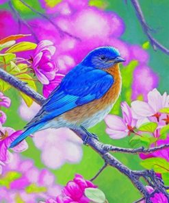 Colorful Bird paint by numbers