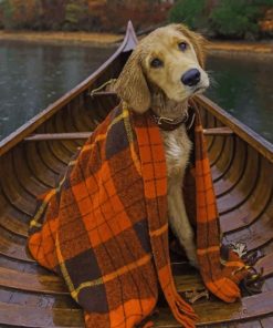 Dog With A Red Blanket In A Boat Paint By Numbers