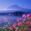 Mt Fuji Mountain Japan paint by numbers