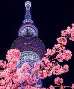 Night Tokyo Skytree Sakura paint by numbers