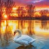 Sunset Swan In Lake paint by numbers