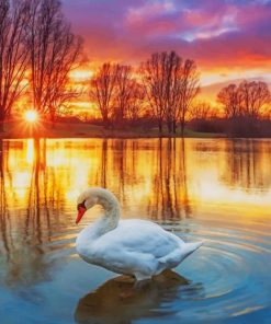 Sunset Swan In Lake paint by numbers