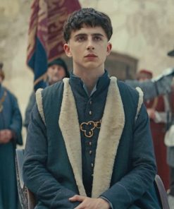 Timothee Chalamet The King Paint by numbers