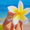 White And Yellow Frangipani Flower paint by nu