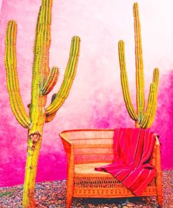 Aesthetic Mexican Pink Wall paint by numbers