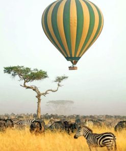 Air Balloon Africa paint by numbers