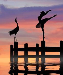 Ballerina And Bird Silhouette paint by numbers