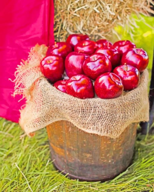 Basket Full Of Apples paint by numbers