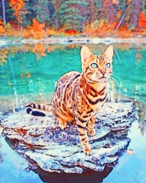 Bengal Cat On Lake Rock paint by numbers