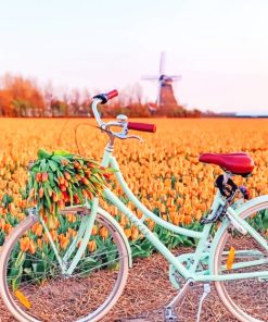 Bike In Orange Tulips Field paint by numbers