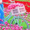 Bike In Tulips Field paint by numbers