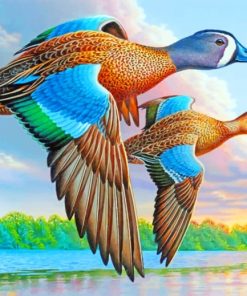 Blue Winged Teal Paint by numbers