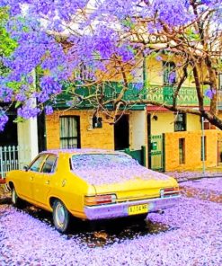 Car Under Jacaranda Tree paint by numbers