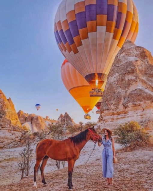 Woman And Her Hose With Hot Air Balloons paint by numbers