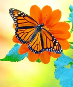 Orange And Black Butterfly paint by numbers