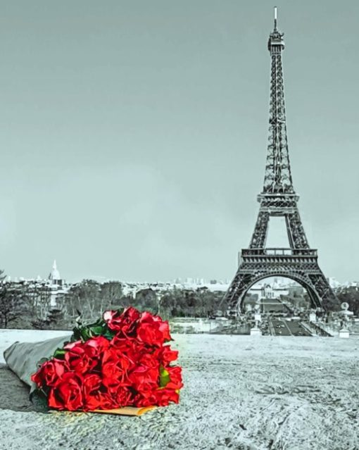 Red Flowers In Paris paint by numbers