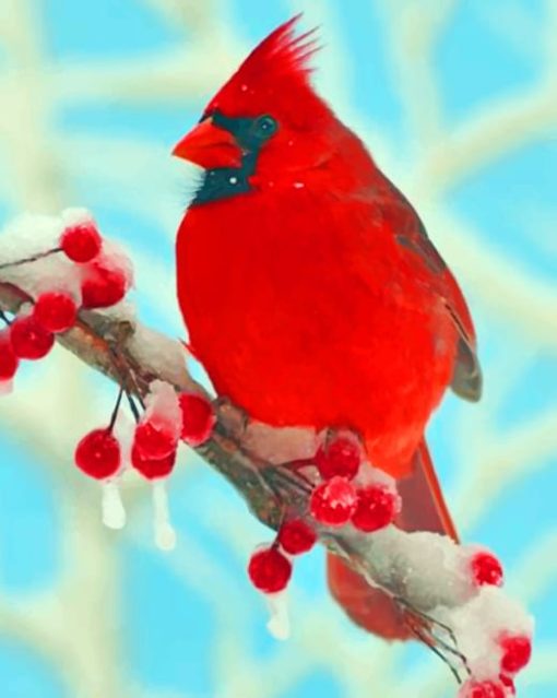 Red Cardinal paint by numbers