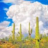 Saguaro National Park paint by numbers