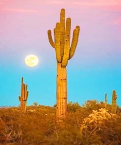 Saguaro Plant Paint by numbers