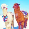 Stylish Alpacas paint by numbers