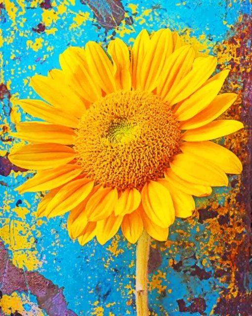 Sunflower Blossom paint by numbers