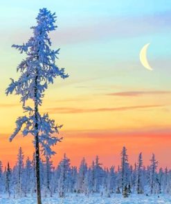 Winter Scenery paint by numbers