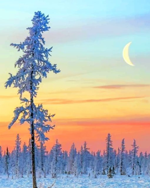 Winter Scenery paint by numbers