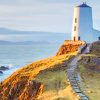 Ynys Llanddwyn Lighthouse Paint by numbers