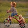 Baby Cyclist With His Teddy Bear paint by numbers