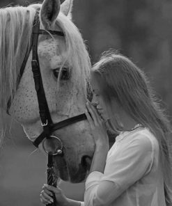 Black And White Lady And Horse paint by numbers