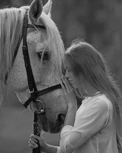 Black And White Lady And Horse paint by numbers