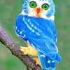 Blue Owl Paint by numbers