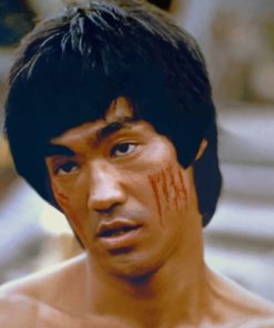 Bruce Lee Paint by numbers