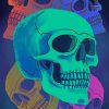 Colorful Skulls paint by numbers