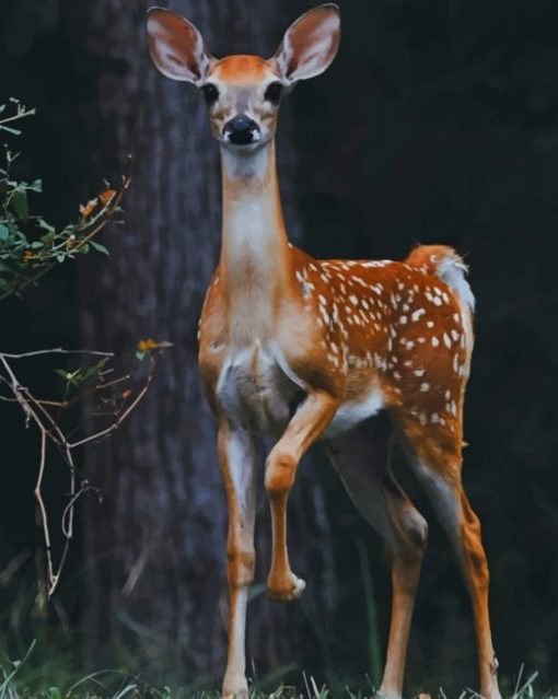 Deer Photography paint by numbers