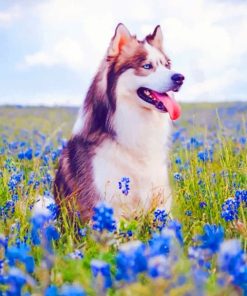 Dog And Blue Flowers paint by numbers