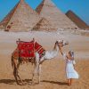 Girl And Camel In Egypt The Great Pyramid Of Giza paint by numbers